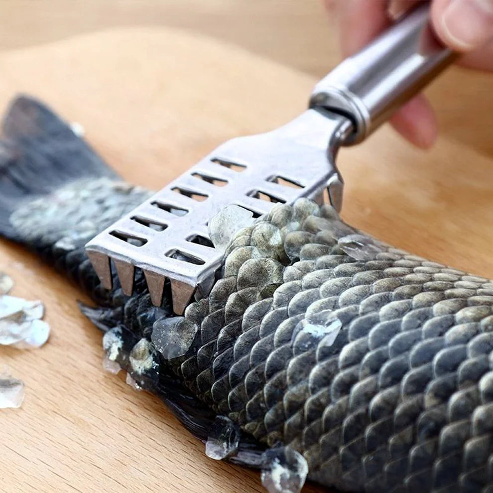 Stainless Steel Fish Scale Remover Scraper – Anti-Rust Sawtooth Cleaning Tool